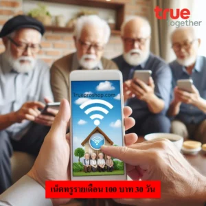 เน็ตทรูรายเดือน 100 บาท 30 วัน